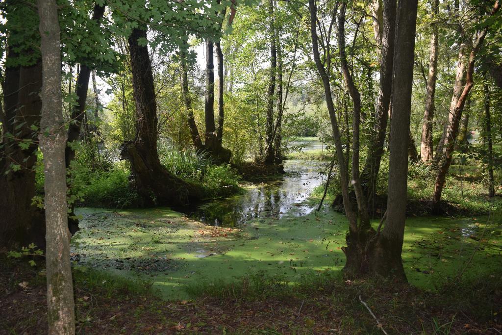Da Gastone Villa Rivignano Luaran gambar